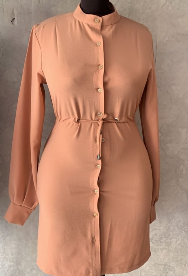 Shirt dress